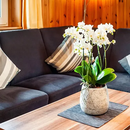 In Montafon Near Lifts * Sankt Gallenkirch